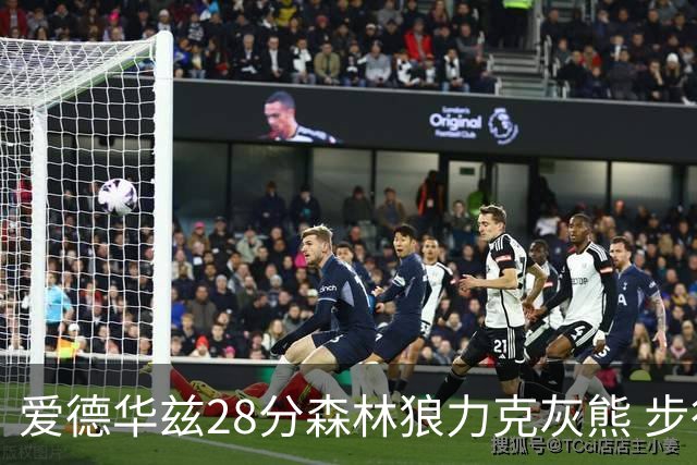 爱德华兹28分森林狼力克灰熊 步行者险胜国王